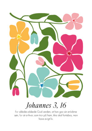 Johannes 3, 16